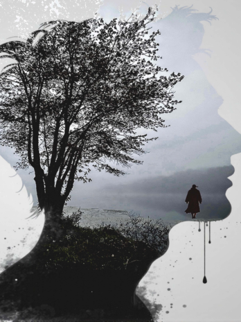 The Wanderer