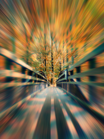 A Bridge to Autumn