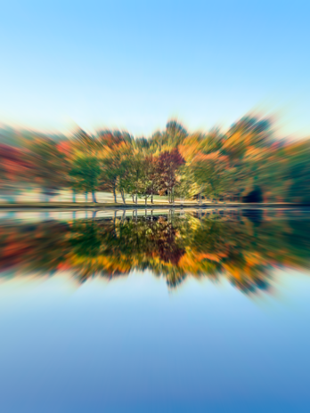 Autumn Solace