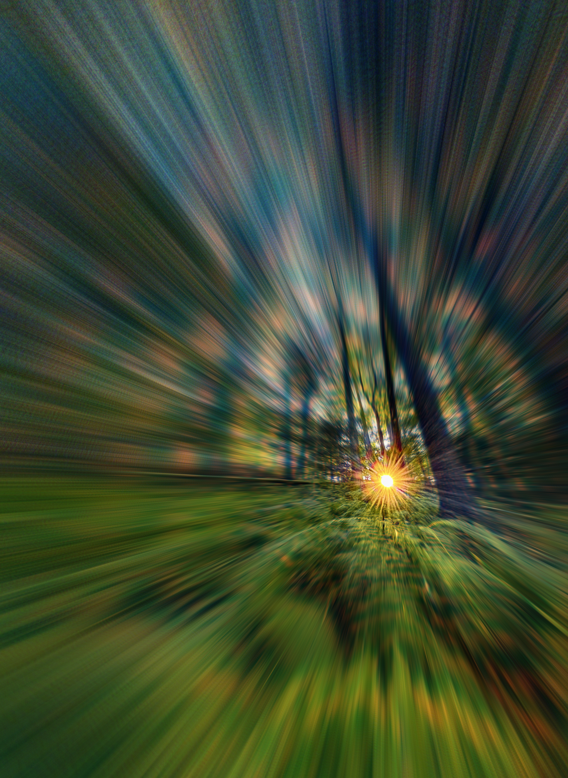 Into the Emerald Forest